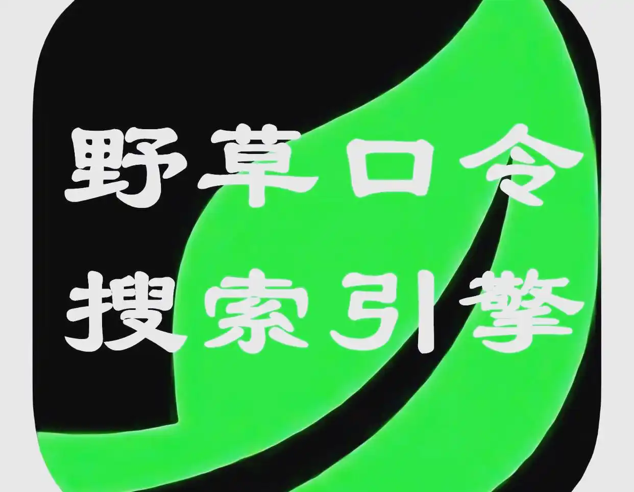 野草助手tv版