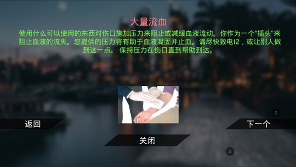 真实泊车2手机版
