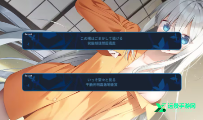 ginka手机冷狐版