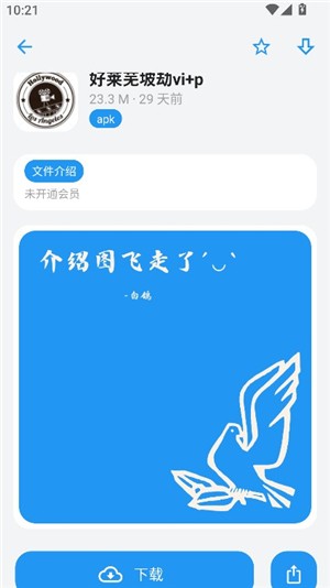 熊盒子白鸽官方版