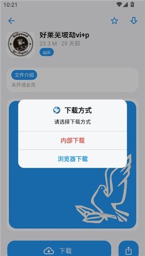 熊盒子白鸽官方版