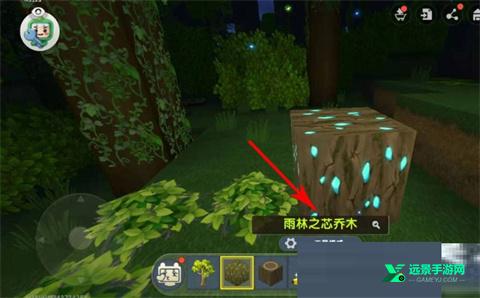 迷你世界雨林版本免登版