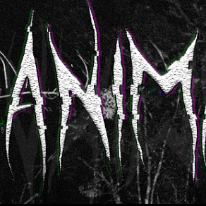 动物观察员游戏手机版