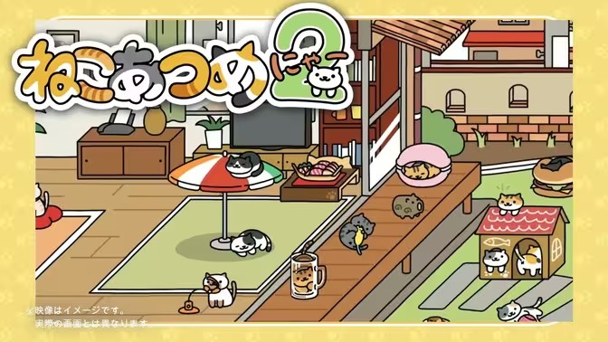 猫咪后院2