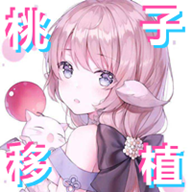 雷电将军触摸器汉化版