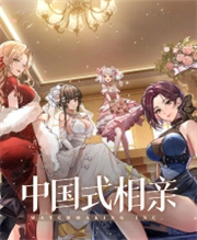中国式相亲手机版