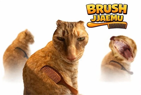 给猫梳毛截图1