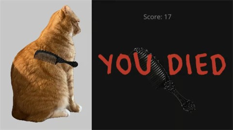 给猫梳毛截图3