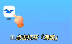 海鸥安全聊天