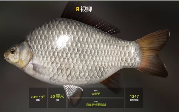 俄罗斯钓鱼4官方版