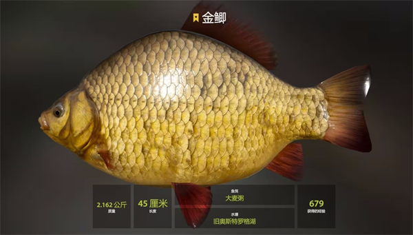 俄罗斯钓鱼4官方版