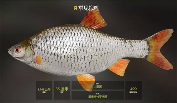 俄罗斯钓鱼4官方版
