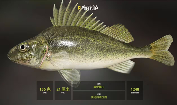 俄罗斯钓鱼4官方版