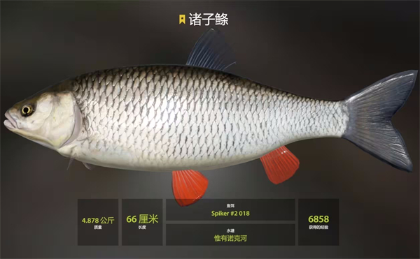 俄罗斯钓鱼4官方版