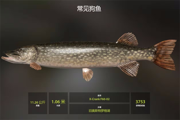 俄罗斯钓鱼4官方版
