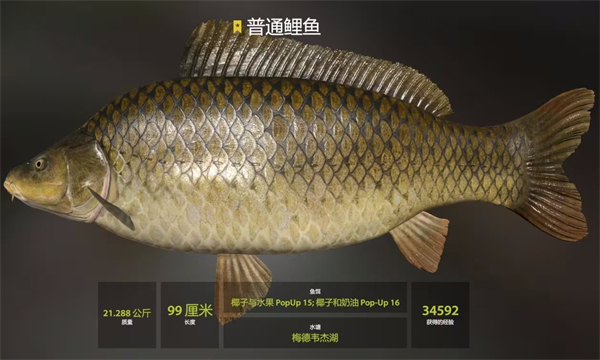 俄罗斯钓鱼4官方版