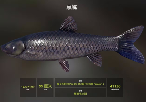 俄罗斯钓鱼4官方版