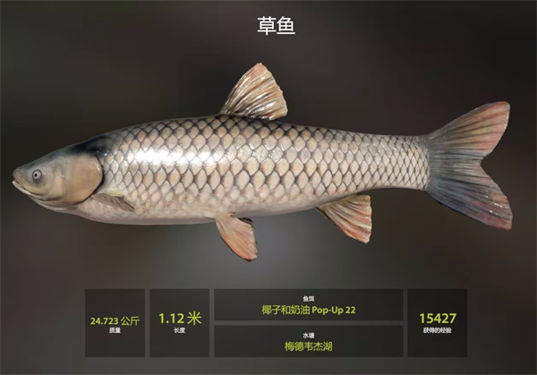 俄罗斯钓鱼4官方版