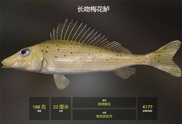 俄罗斯钓鱼4官方版