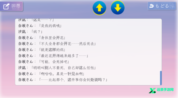 花开之你携我至夏之尽头的白花