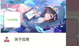 hookvip模块