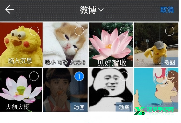 蝙蝠聊天官方版