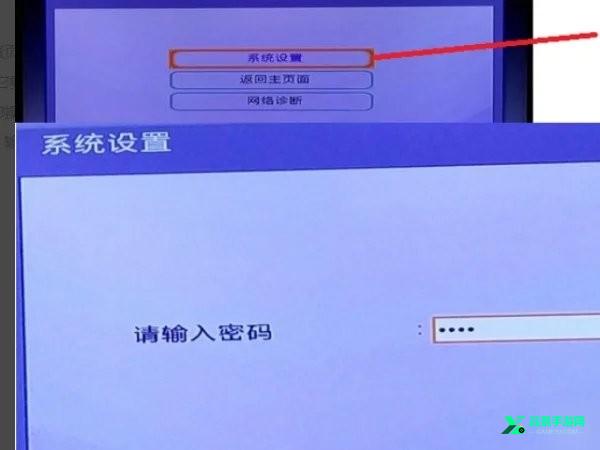 CIPTV电视直播