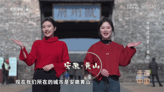 悠悠电视