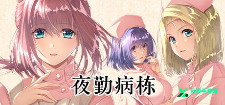 夜勤病栋手机版