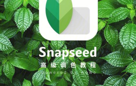 snapseed
