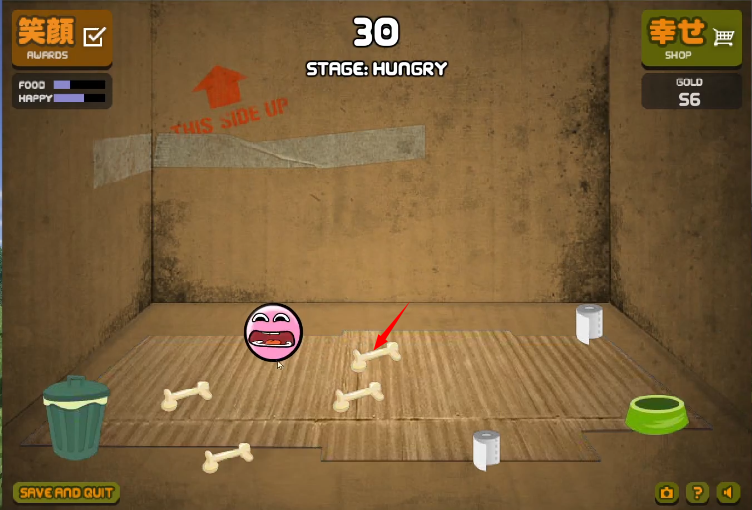 养只宠物球