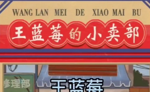 王蓝莓的小卖部