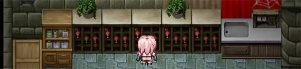 女盗贼希露菲与不眠之岛小熊移植版
