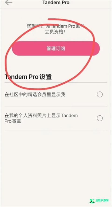 Tandem安卓版