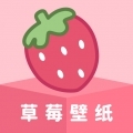 草莓壁纸旧版