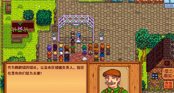 Stardew valley1.6.15