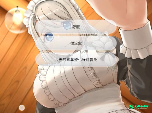我与索菲亚的秘密完整版
