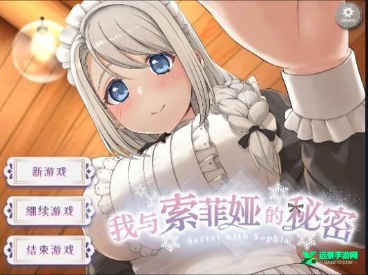 我与索菲亚的秘密完整版