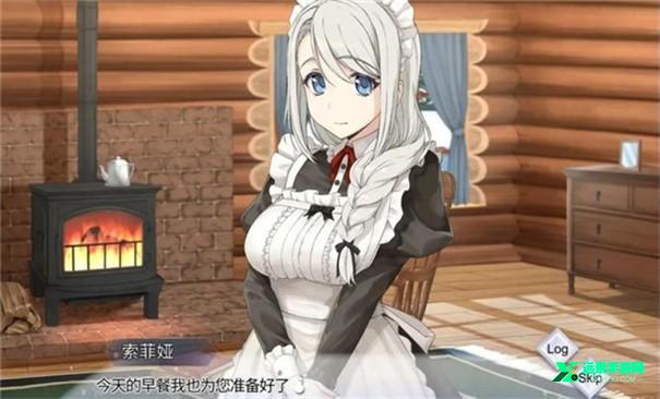 我与索菲亚的秘密完整版