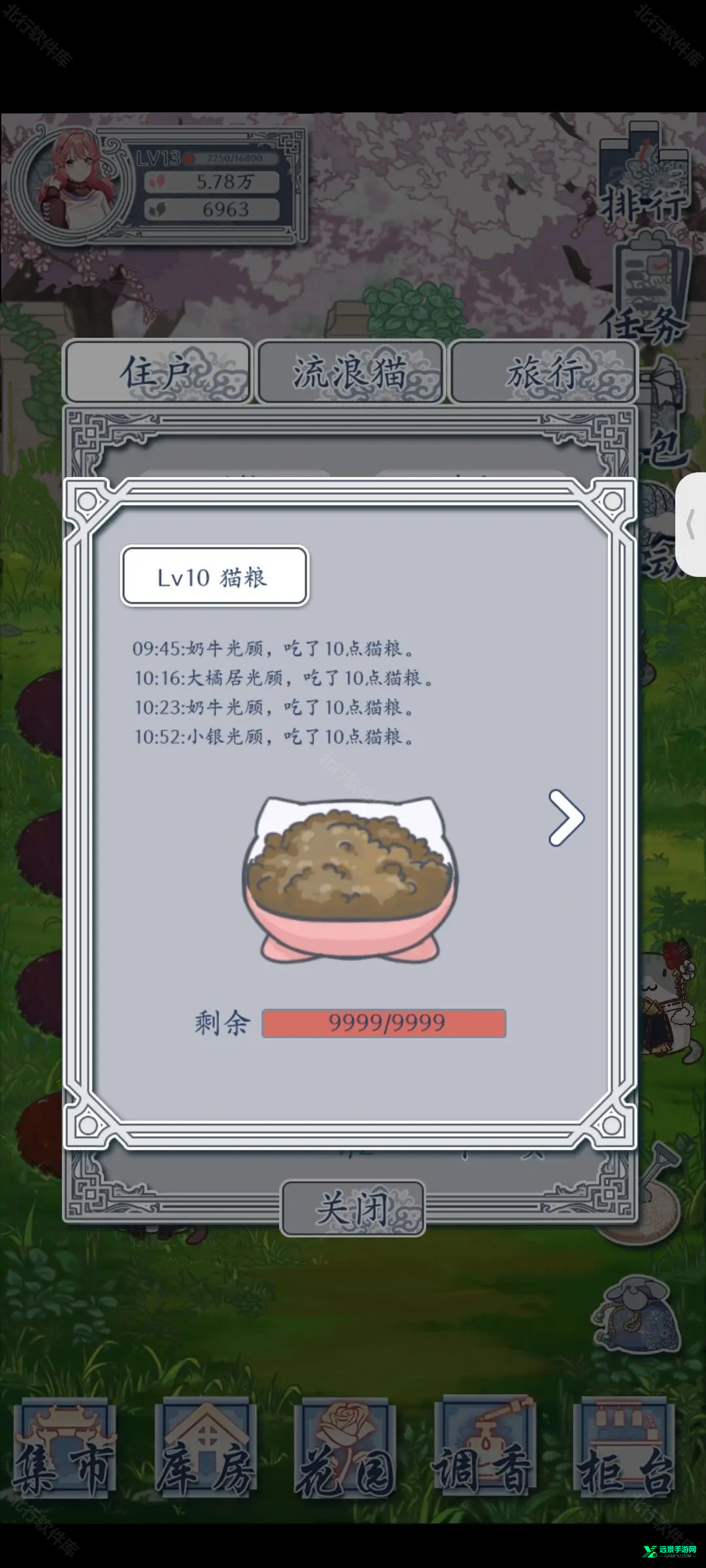花与香水与猫
