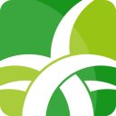 野草助手官网正式版