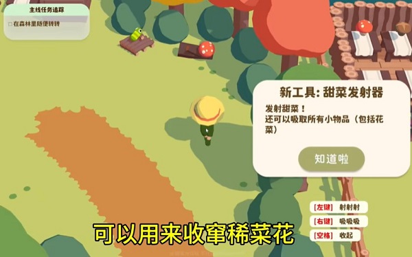 舒舒服服的小岛时光手机版