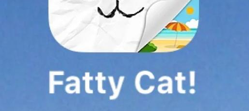 FattyCat