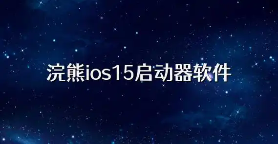 浣熊iOS15启动器