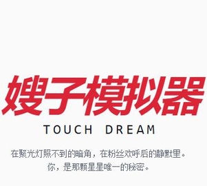 韩娱嫂子模拟器游戏