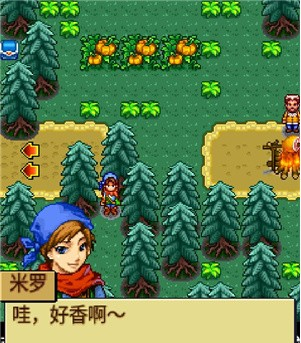 宠物王国4白金上帝版