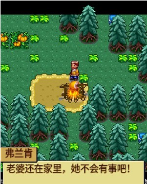 宠物王国4白金上帝版