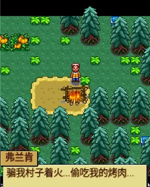 宠物王国4白金上帝版