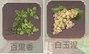 新庄园时代手游中文版