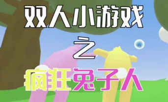 疯狂兔子人